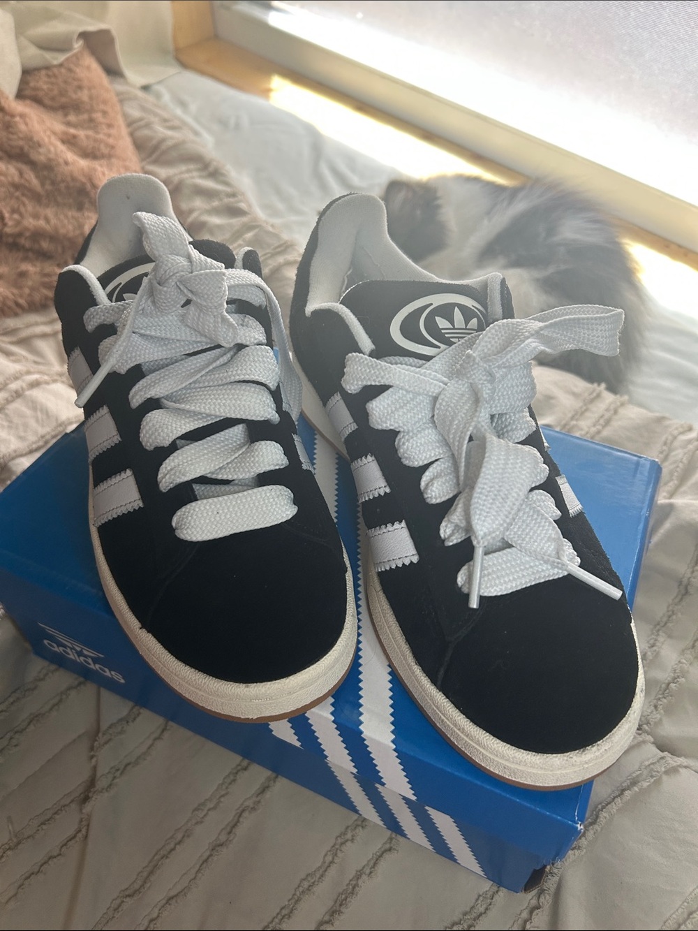 Adidas Campus 00s shoes